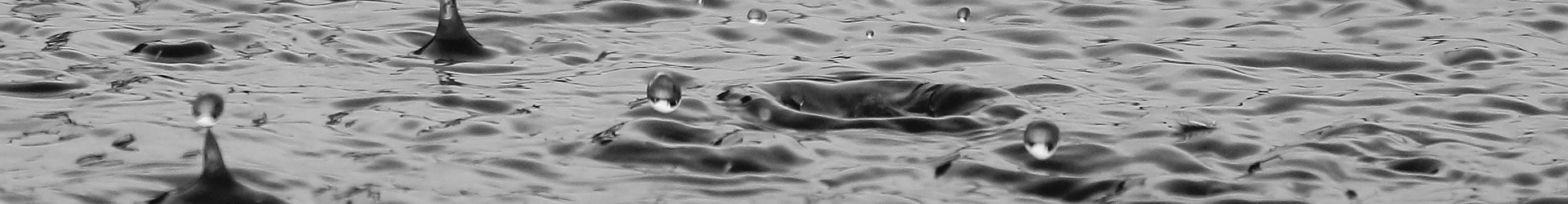 Protected: Mexico US Border Date History